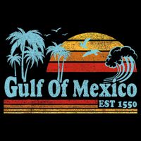 Gulf Of Mexico Est 1550 Retro Vintage Beach Toddler T-Shirt