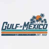 Gulf Of Mexico Est 1550 Retro Vintage Beach V-Neck T-Shirt