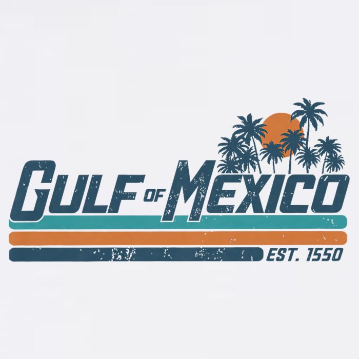 Gulf Of Mexico Est 1550 Retro Vintage Beach V-Neck T-Shirt