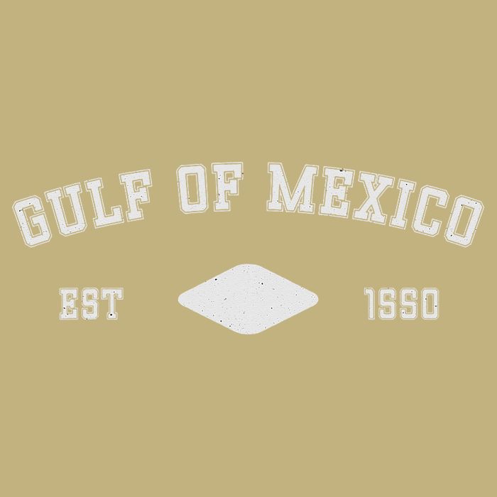 Gulf Of Mexico Est 1550 Forever Not US America T-Shirt