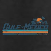 Gulf Of Mexico Est 1550 Adult Drive Performance Visor