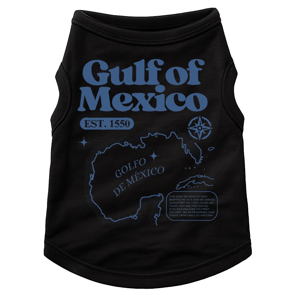 Gulf Of Mexico Est 1550 Golfo De MéXico Historic Map Doggie Tank