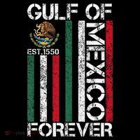 Gulf Of Mexico Women's V-Neck T-Shirt