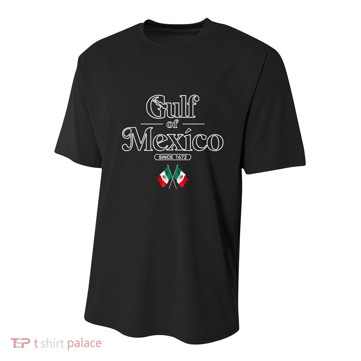 Gulf Of Mexico Since 1672 Mexican Flag Youth Performance Sprint T-Shirt