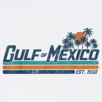 Gulf Of Mexico Est 1550 Retro Vintage Beach Hat