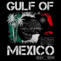 Gulf Of Mexico 1550 Forever Retro Vintage Beach Women .Png Toddler T-Shirt