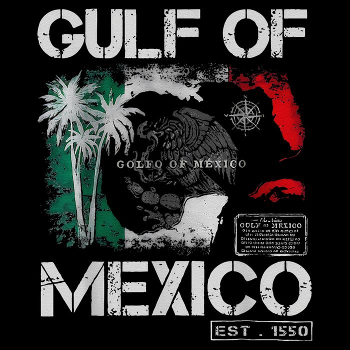 Gulf Of Mexico 1550 Forever Retro Vintage Beach Women .Png Toddler T-Shirt