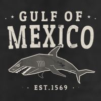 Gulf Of Mexico 1569 Adult Drive Performance Visor