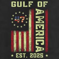 Gulf Of 'Merica US Flag Patriotic EST 2025 Adult Drive Performance Visor