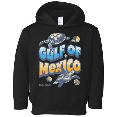 Gulf of Mexico Turtle Boho Vintage Gulf Of Mexico Forever Toddler Hoodie