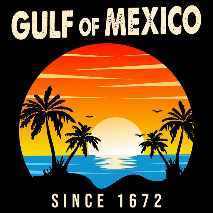 Gulf Of Mexico Since 1672 Hoodie