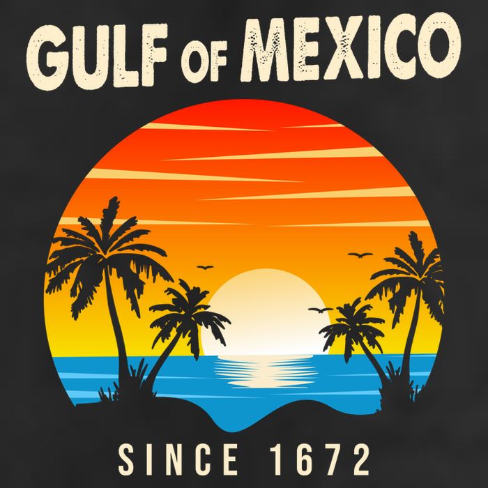 Gulf Of Mexico Since 1672 Adult Drive Performance Visor