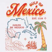 Gulf Of Mexico Est 1550 Retro Vintage Beach Kids Hoodie