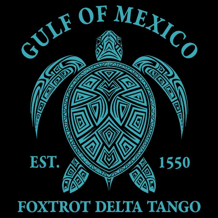 Gulf Of Mexico Turtle Foxtrot Delta Tango EST 1550  Youth Performance Sprint T-Shirt