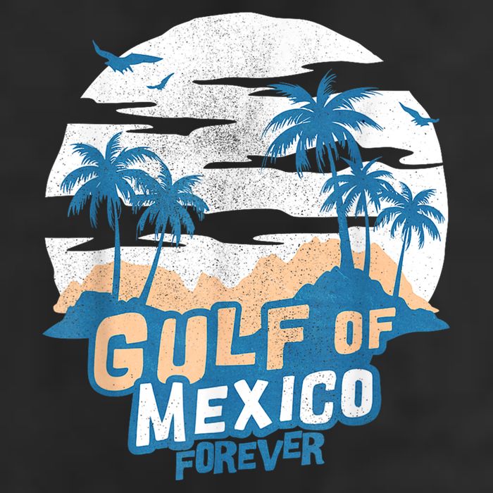 Gulf Of Mexico Forever Adult Drive Performance Visor