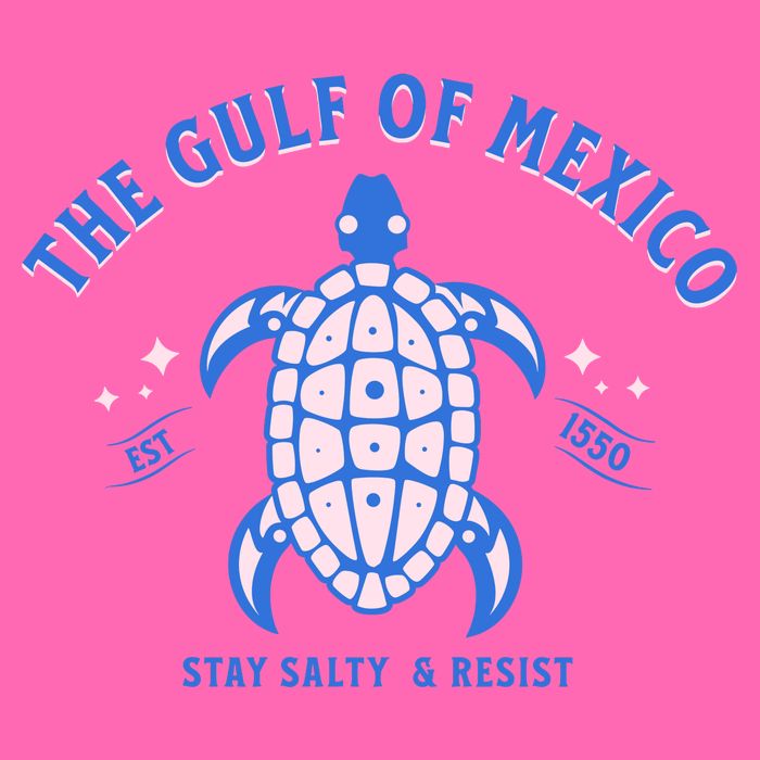 Gulf of Mexico Stay Salty Resistance Stripe Pom Pom Beanie