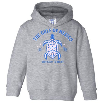 Gulf of Mexico Stay Salty Resistance Toddler Hoodie