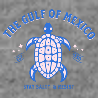 Gulf of Mexico Stay Salty Resistance Toddler Hoodie