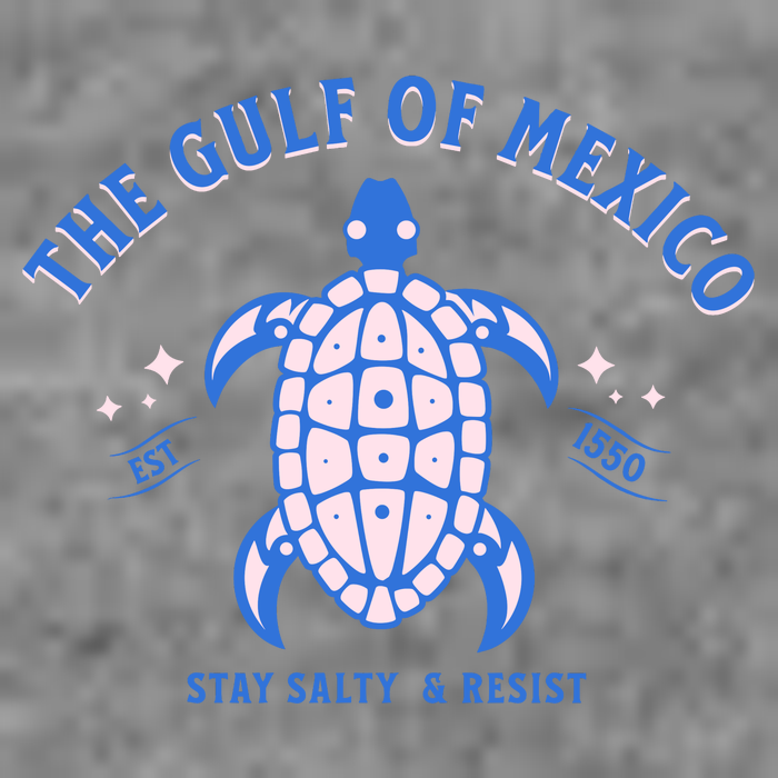 Gulf of Mexico Stay Salty Resistance Toddler Hoodie