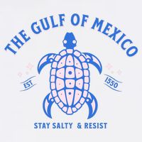 Gulf of Mexico Stay Salty Resistance 11oz C Handle Ceramic Mug