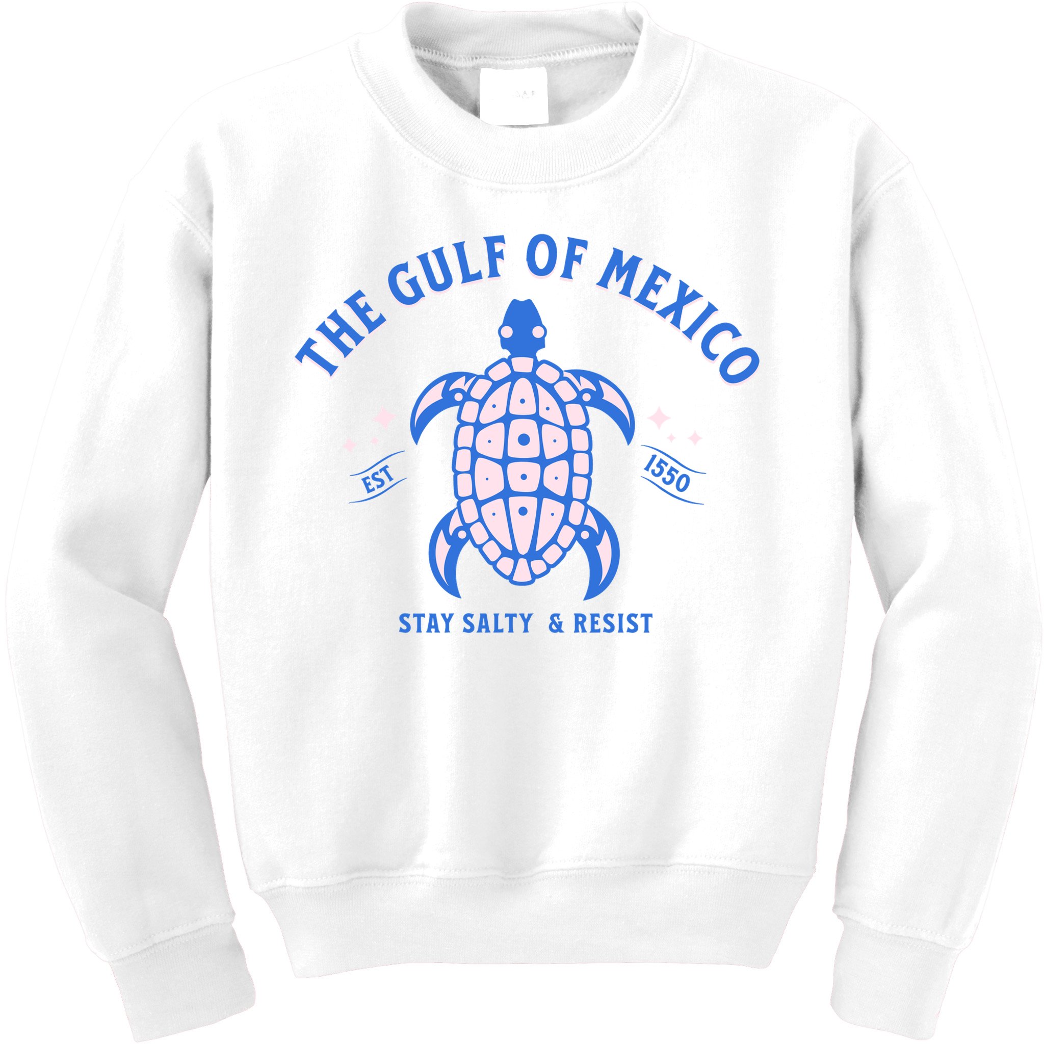 Gulf of Mexico Stay Salty Resistance Kids Sweatshirt