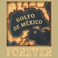 Gulf Of Mexico Summer Not Trump Us America Historic Map .Png T-Shirt