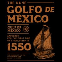 Gulf Of Mexico First Map Since 1550 Stripe Pom Pom Beanie