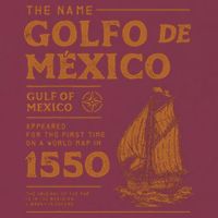 Gulf Of Mexico First Map Since 1550 16oz Travel Tumbler