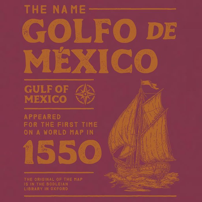 Gulf Of Mexico First Map Since 1550 16oz Travel Tumbler