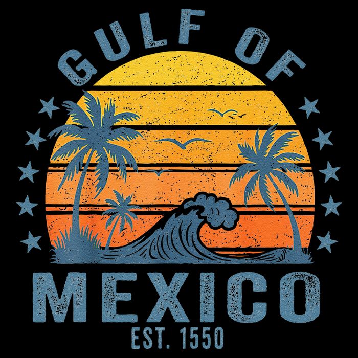 Gulf Of Mexico Est 1550 Retro Vintage Gulf Beach Toddler T-Shirt
