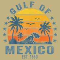 Gulf Of Mexico Est 1550 Retro Vintage Gulf Beach Hoodie
