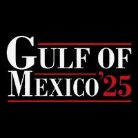 Gulf Of Mexico 2025 The Gulf Of Mexico 25 Est 1550 Womens T-Shirt
