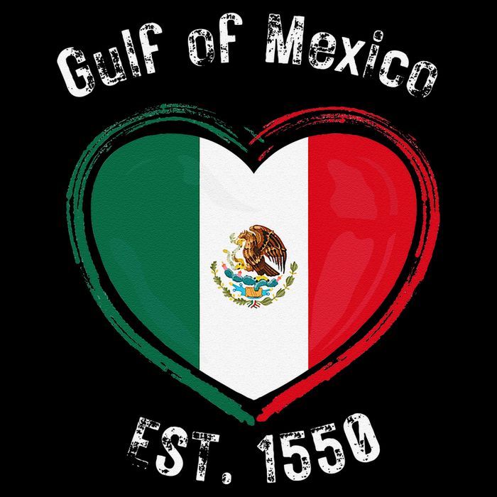 Gulf Of Mexico Written In Distressed Font Mexican Pride Cropped Pullover Crew