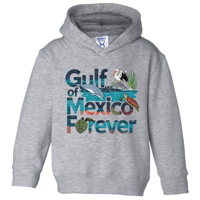 Gulf Of Mexico Forever Marine Wildlife Ocean Conservation Toddler Hoodie