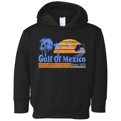 Gulf Of Mexico Since 1672 Retro Vintage Beach Toddler Hoodie