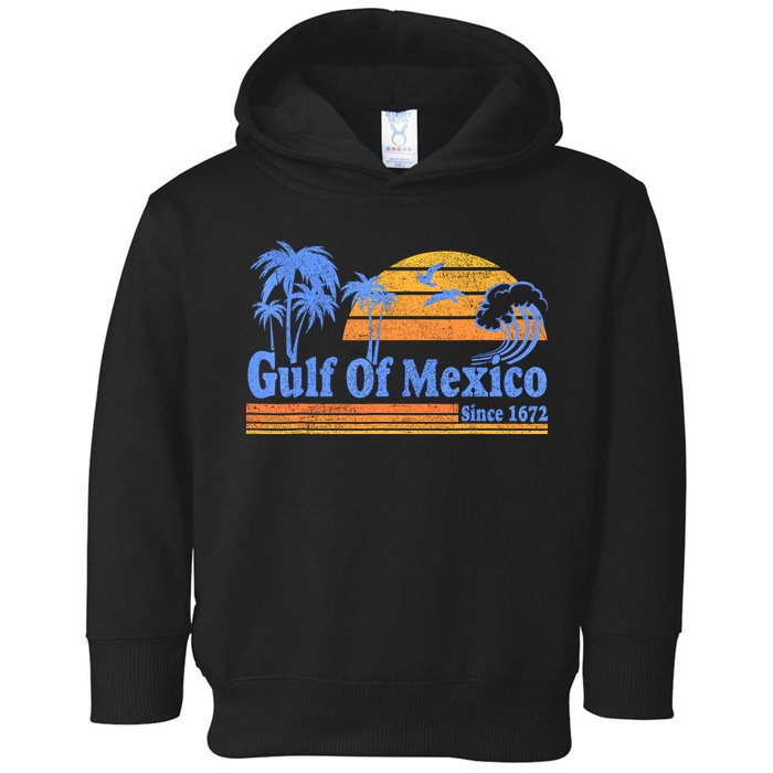 Gulf Of Mexico Since 1672 Retro Vintage Beach Toddler Hoodie