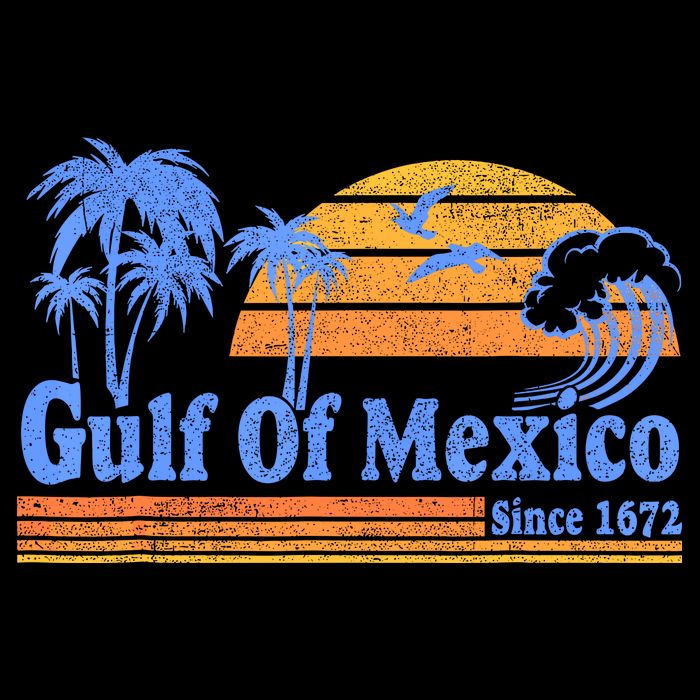 Gulf Of Mexico Since 1672 Retro Vintage Beach Toddler Hoodie