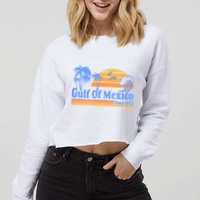 Gulf Of Mexico Since 1672 Retro Vintage Beach Cropped Pullover Crew