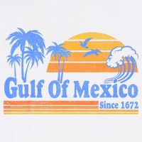 Gulf Of Mexico Since 1672 Retro Vintage Beach Womens T-Shirt