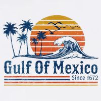 Gulf Of Mexico Since 1672 Retro Vintage Beach Womens T-Shirt