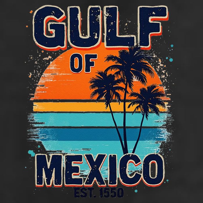 Gulf Of Mexico Since 1550 Retro Beach Adult Drive Performance Visor
