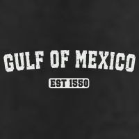Gulf Of Mexico Est 1550 Adult Drive Performance Visor