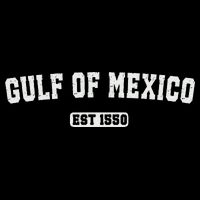 Gulf Of Mexico Est 1550 Womens Tank Top