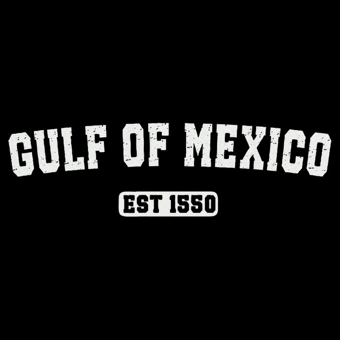 Gulf Of Mexico Est 1550 Womens Tank Top