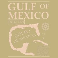 Gulf Of Mexico 1672 Historic Map Cooling Performance Crew T-Shirt