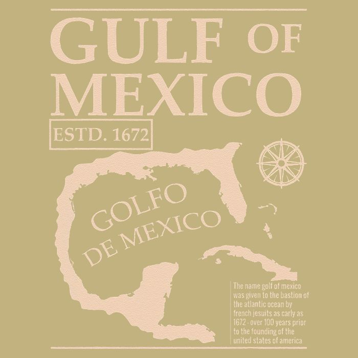 Gulf Of Mexico 1672 Historic Map Cooling Performance Crew T-Shirt