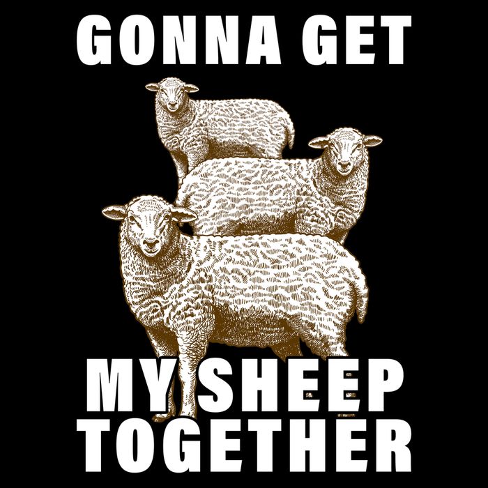 Gonna Get My Sheep Together Cropped Pullover Crew