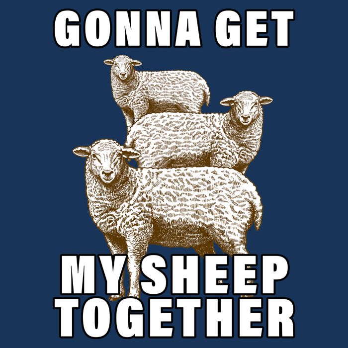 Gonna Get My Sheep Together T-Shirt