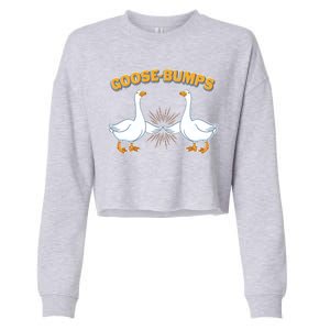 Goose Bumps Cropped Pullover Crew