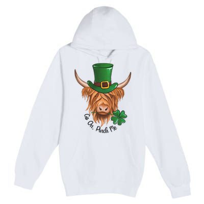 Go On Pinch Me St Patricks Day Cow Farmer Farming Premium Pullover Hoodie